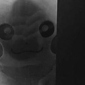 Meet your Posher, Hai